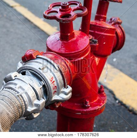 Red fire hydrant with connected hose. Close-up.