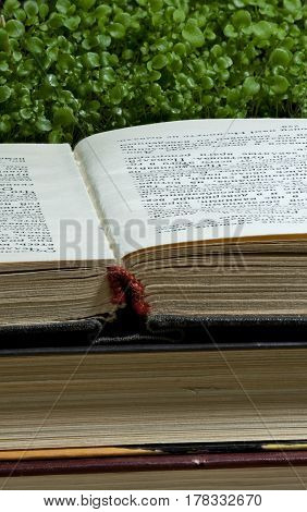 stack of books spine open book green vegetation Reading books source of knowledge