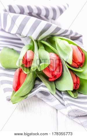 Bright red tulips and striped napkin on a white background