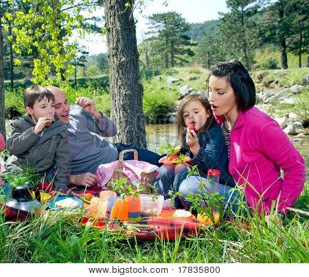 Familie picnic