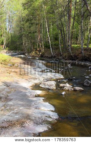 River in forest in Langinkoski Finland at sunny day