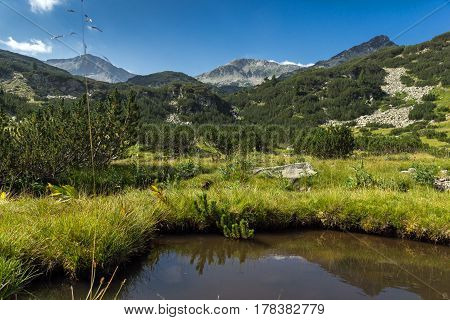 Panoramic view of Banderishki Chukar Peak and mountain river, Pirin Mountain, Bulgaria