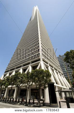 Grattacieli In Downtown San Francisco
