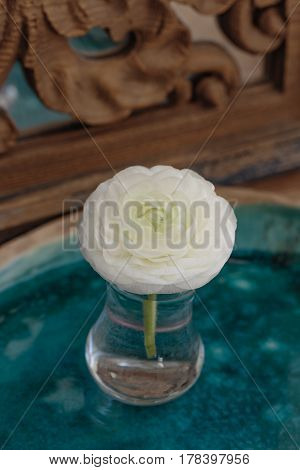 White Ranunculus Flower In Glass On Ceramic Tray