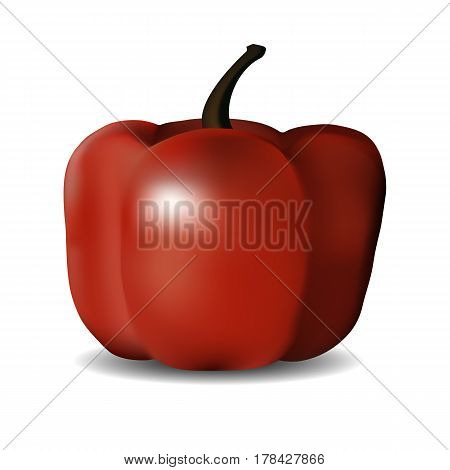 3 D Photorealistic Ripe Juicy Red Bell Pepper Closeup On A White Background Made With Gradient Mesh