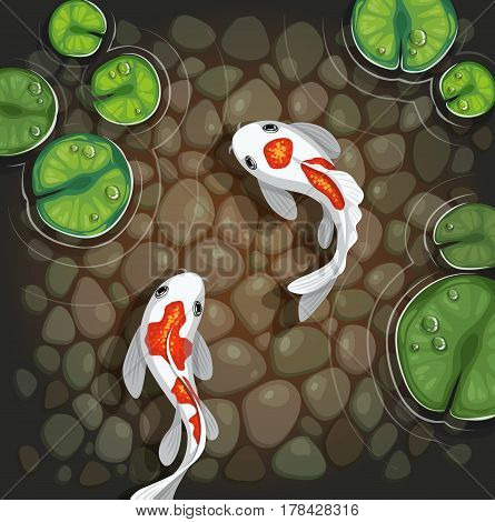 carps koi fish underwater water plant pond vector illustration
