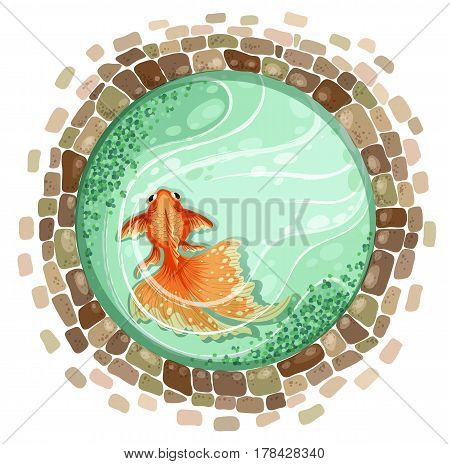goldfish stones bricks pond top view vector illustration