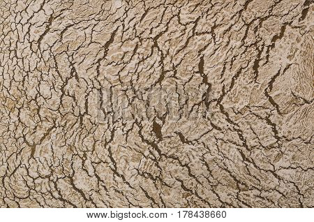 Decorative Plaster