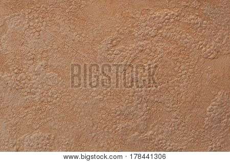 Decorative Plaster