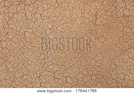 Decorative Plaster