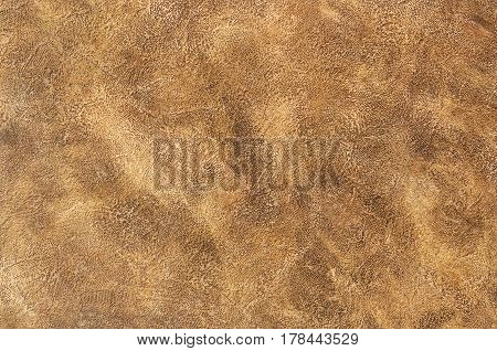 Decorative Plaster