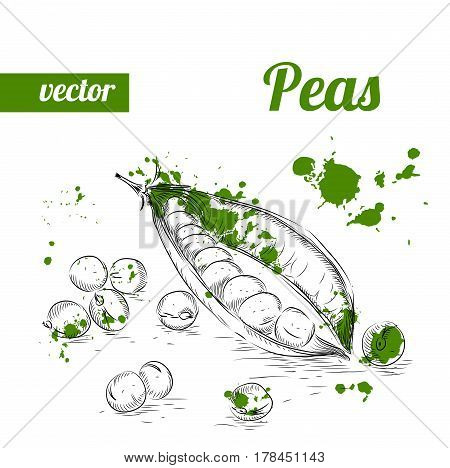 3 Peas.eps