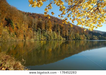 Lac de Lucelle (Lucelle Lake) and the forest with reflection in autumn. Panoramic view