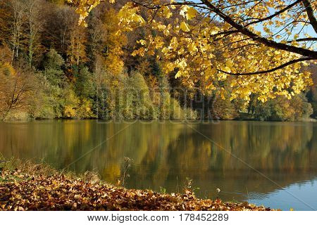 Autumn landscape on a sunny day. Lac de Lucelle (Lucelle Lake) Switzerland