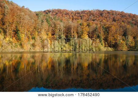 Reflection of the autumn forest in Lake Lucelle (Lac de Lucelle) Switzerland