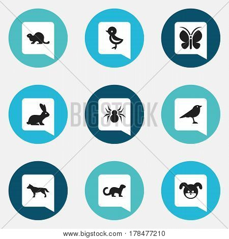 Set Of 9 Editable Animal Icons. Includes Symbols Such As Moth, Puppy, Dog And More. Can Be Used For Web, Mobile, UI And Infographic Design.