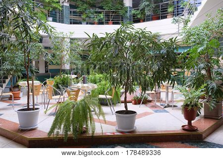 Interior of a cafe in a hotel hall with decoretive trees under the frontground