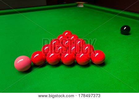 Red snooker balls prepared for the game on green table. Pink ball in front of the red balls and black ball way behind. Snooker game.