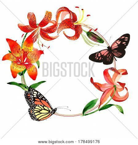 Wildflower leopard lily flower frame in a watercolor style isolated.  Aquarelle wild flower for background, texture, wrapper pattern, frame or border.