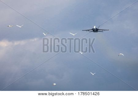 MELBOURNE, AUSTRALIA - MARCH 25: An Royal Australian Air Force FA18F Super Hornet performs in a public display above Melbourne on March 25, 2017