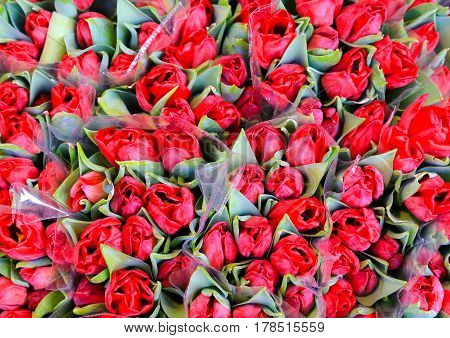 Bunch of red tulips at a market stall.