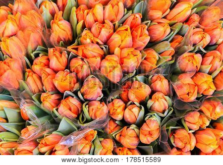 Bunch of orange tulips at a market stall.