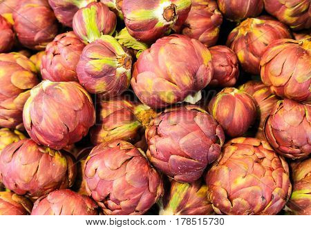 Medium-sized Purple Artichokes