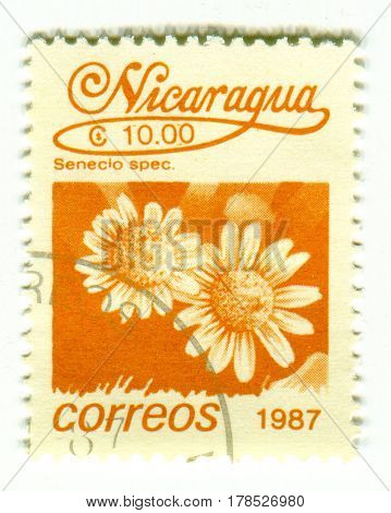 GOMEL, BELARUS, 24 MARCH 2017, Stamp printed in Nicaragua shows image of the Senecio spec, circa 1987.