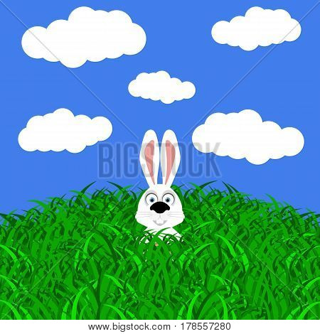 Funny easter rabbit on white background vector illustration