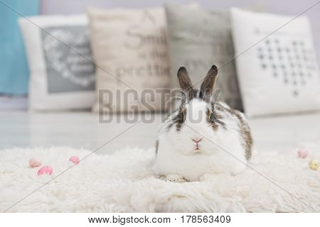 Easter little bunny sitting on lambskin indoors.