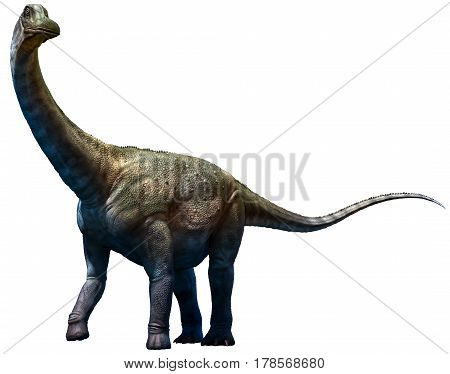 Antarctosaurus dinosaur from the Cretaceous era 3D illustration