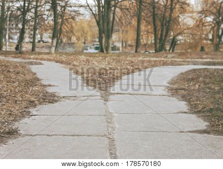 The road in the park diverge in different directions the road fork in the retro style.