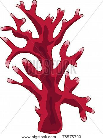 The red branched coral  on a white background.