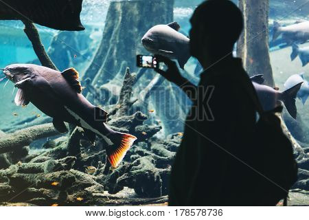 Hipster with yellow backpack map phone. View from back tourist traveler on background blue sea aquarium. Person hiker in oceanarium museum Barcelona and photographer pictures fish smartphone mockup