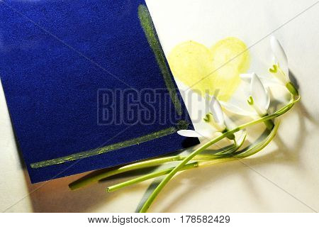 The earliest spring flowers. Card. Sweethearted nature.