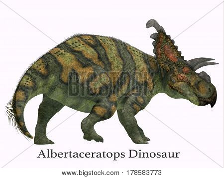 Albertaceratops Dinosaur Tail with Font 3d illustration - Albertaceratops was a herbivorous Ceratopsian dinosaur that lived in Alberta Canada in the Cretaceous Period.