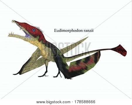 Eudimorphodon Resting with Font 3d illustration - The carnivorous Eadimorphodon was a pterosaur flying reptile that lived in Italy in the Triassic Period.