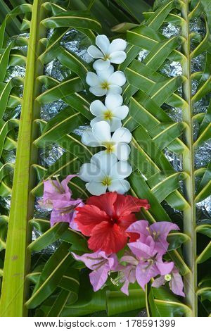 Fijian Food Lovo In Fiji Islands