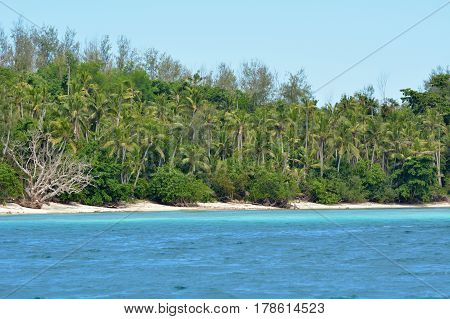 Landscape Of A Remote Tropical Beach In Nanuya Levu Island Fiji