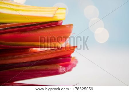 Side View Of Rainbow Chard Stems With Light Blue Bokeh Background