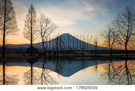 Mountain Fuji in the morning at Fumotopara camping ground Fujinomiya Shizuoka prefecture