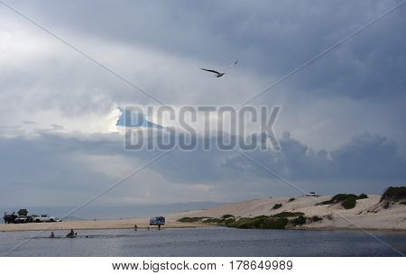 Seagull flying on beach. White seagull soaring in the blue sky over Crokers creek (Belmont - Nine Miles - Beach NSW Australia).