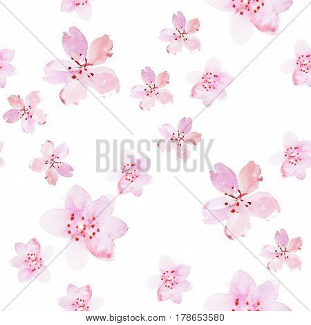 Watercolor drawing of fresh garden flowers aquarelle painting