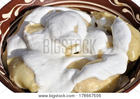 traditional ukrainian food - dumplings (varenik) with sour cream isolated on white