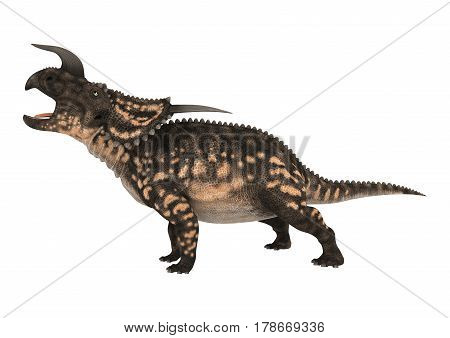 3D Rendering Dinosaur Einiosaurus On White