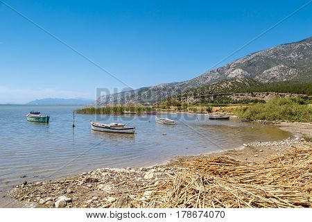 Coastal View With Boats