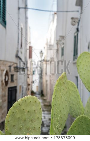 Narrow Street In Ostuni, Puglia, Italy