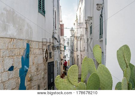 Narrow Street In Ostuni, Puglia, Italy