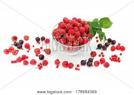sweet flavorful raspberry and currants in glassware isolated on a white background