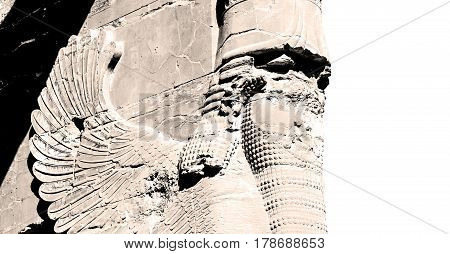 In Iran     Persepolis
